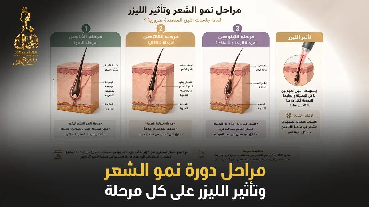 مراحل دورة نمو الشعر وتأثير الليزر على كل مرحلة